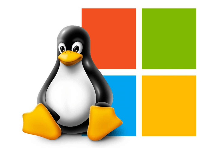 Linux And Windows Hosting Plans